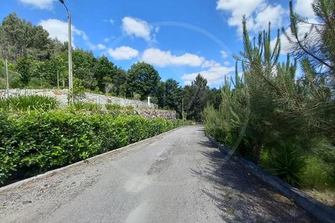 Farm i Paredes, Porto, Paredes - € 1.850.000 | Ref: Q521 - foto 28