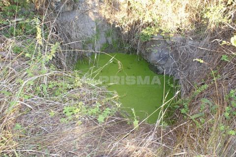 Terra a Penamacor, Castelo Branco, Penamacor - € 65.000 | Ref: PP3769 - foto 5