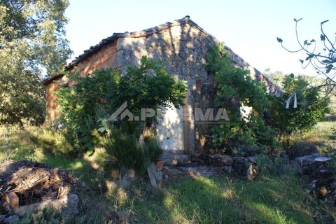 Terra a Penamacor, Castelo Branco, Penamacor - € 65.000 | Ref: PP3769 - foto 6
