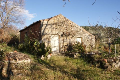 Terra a Penamacor, Castelo Branco, Penamacor - € 65.000 | Ref: PP3769 - foto 32