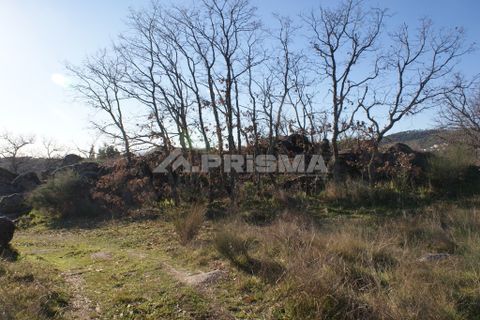 Terra a Penamacor, Castelo Branco, Penamacor - € 65.000 | Ref: PP3769 - foto 7