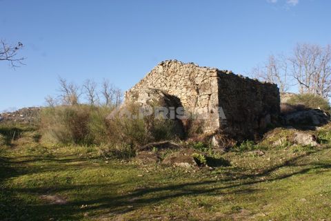 Terra a Penamacor, Castelo Branco, Penamacor - € 65.000 | Ref: PP3769 - foto 8