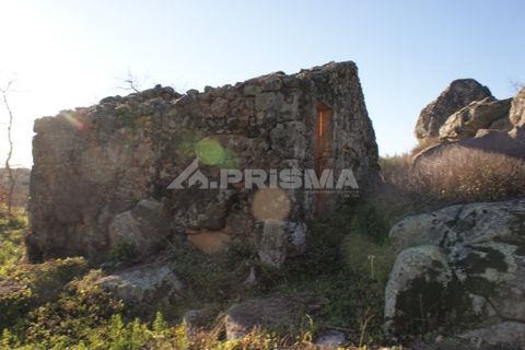 Terra a Penamacor, Castelo Branco, Penamacor - € 65.000 | Ref: PP3769 - foto 9