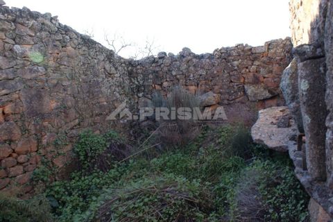 Terra a Penamacor, Castelo Branco, Penamacor - € 65.000 | Ref: PP3769 - foto 10