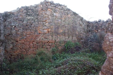 Terra a Penamacor, Castelo Branco, Penamacor - € 65.000 | Ref: PP3769 - foto 11