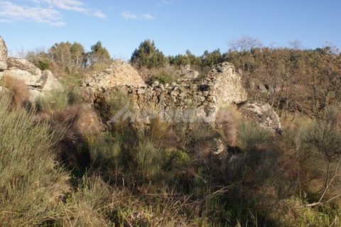 Terra a Penamacor, Castelo Branco, Penamacor - € 65.000 | Ref: PP3769 - foto 12