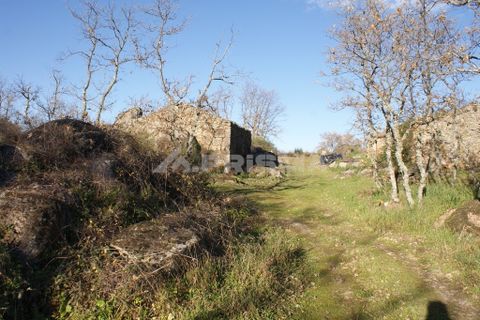 Terra a Penamacor, Castelo Branco, Penamacor - € 65.000 | Ref: PP3769 - foto 15