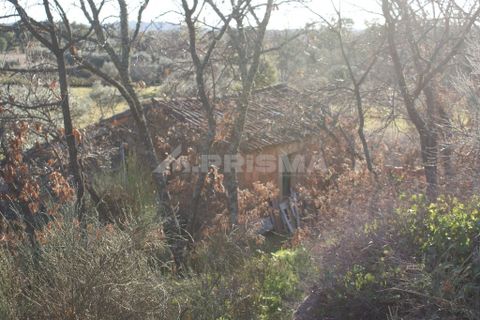 Terra a Penamacor, Castelo Branco, Penamacor - € 65.000 | Ref: PP3769 - foto 16