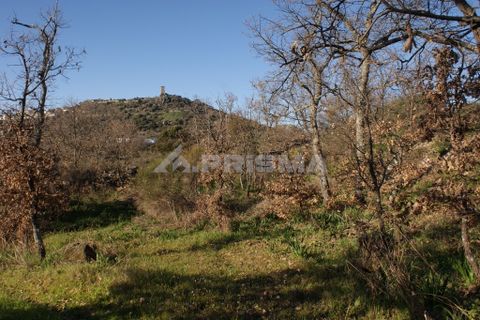 Terra a Penamacor, Castelo Branco, Penamacor - € 65.000 | Ref: PP3769 - foto 17