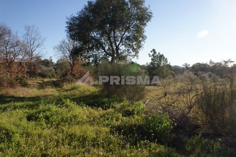 Terra a Penamacor, Castelo Branco, Penamacor - € 65.000 | Ref: PP3769 - foto 19