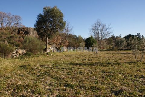 Terra a Penamacor, Castelo Branco, Penamacor - € 65.000 | Ref: PP3769 - foto 21