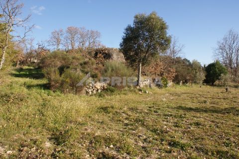 Terra a Penamacor, Castelo Branco, Penamacor - € 65.000 | Ref: PP3769 - foto 22
