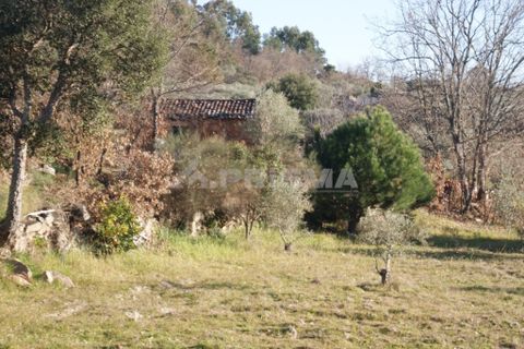 Terra a Penamacor, Castelo Branco, Penamacor - € 65.000 | Ref: PP3769 - foto 23