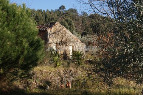 Terra a Penamacor, Castelo Branco, Penamacor - € 65.000 | Ref: PP3769 - foto 24