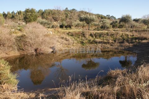 Terra a Penamacor, Castelo Branco, Penamacor - € 65.000 | Ref: PP3769 - foto 25