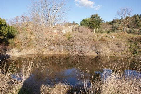 Terra a Penamacor, Castelo Branco, Penamacor - € 65.000 | Ref: PP3769 - foto 26