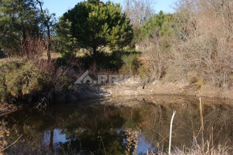 Terra a Penamacor, Castelo Branco, Penamacor - € 65.000 | Ref: PP3769 - foto 28