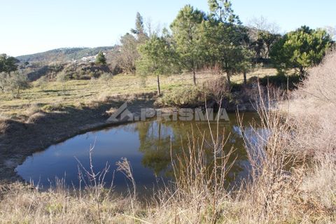 Terra a Penamacor, Castelo Branco, Penamacor - € 65.000 | Ref: PP3769 - foto 29