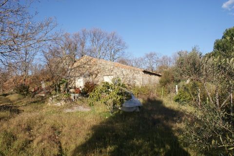 Terra a Penamacor, Castelo Branco, Penamacor - € 65.000 | Ref: PP3769 - foto 30