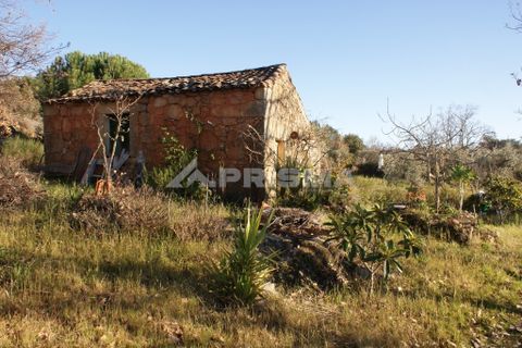 Terra a Penamacor, Castelo Branco, Penamacor - € 65.000 | Ref: PP3769 - foto 33