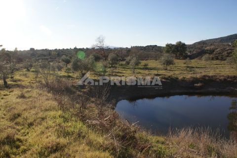 Terra a Penamacor, Castelo Branco, Penamacor - € 65.000 | Ref: PP3769 - foto 34
