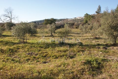 Terra a Penamacor, Castelo Branco, Penamacor - € 65.000 | Ref: PP3769 - foto 35