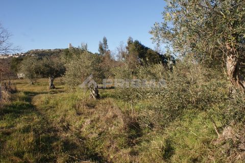 Terra a Penamacor, Castelo Branco, Penamacor - € 65.000 | Ref: PP3769 - foto 36