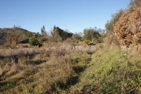 Terra a Penamacor, Castelo Branco, Penamacor - € 65.000 | Ref: PP3769 - foto 37