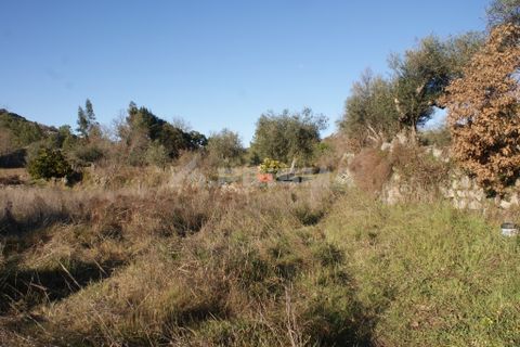Terra a Penamacor, Castelo Branco, Penamacor - € 65.000 | Ref: PP3769 - foto 38