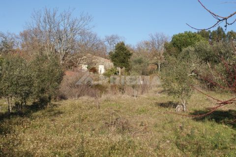 Terra a Penamacor, Castelo Branco, Penamacor - € 65.000 | Ref: PP3769 - foto 39
