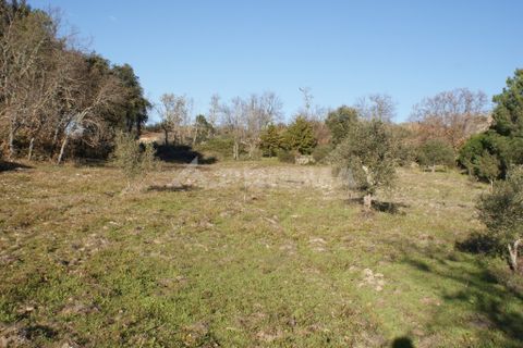 Terra a Penamacor, Castelo Branco, Penamacor - € 65.000 | Ref: PP3769 - foto 40