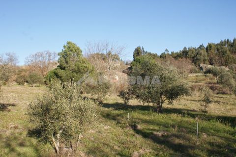 Terra a Penamacor, Castelo Branco, Penamacor - € 65.000 | Ref: PP3769 - foto 41