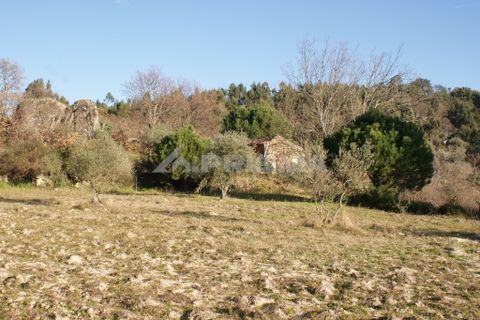Terra a Penamacor, Castelo Branco, Penamacor - € 65.000 | Ref: PP3769 - foto 42