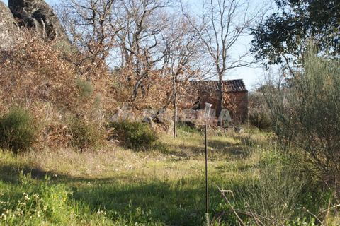 Terra a Penamacor, Castelo Branco, Penamacor - € 65.000 | Ref: PP3769 - foto 43