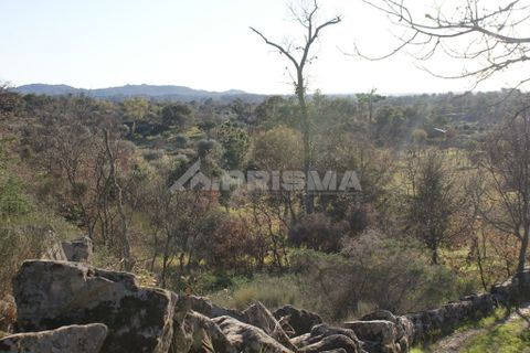 Terra a Penamacor, Castelo Branco, Penamacor - € 65.000 | Ref: PP3769 - foto 45