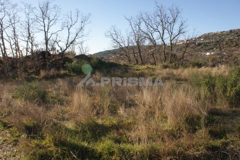 Terra a Penamacor, Castelo Branco, Penamacor - € 65.000 | Ref: PP3769 - foto 46