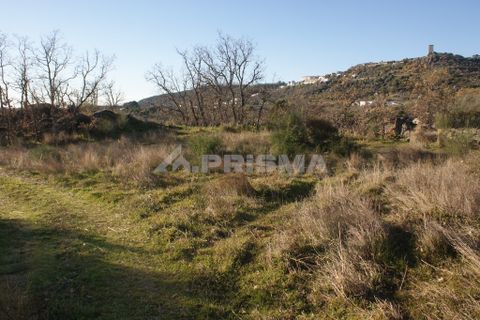 Terra a Penamacor, Castelo Branco, Penamacor - € 65.000 | Ref: PP3769 - foto 47