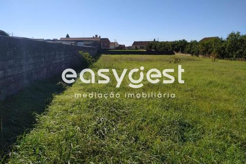 Tomt i Arouca, Aveiro, Arouca - € 135 000 | Ref: RR85838 - foto 3