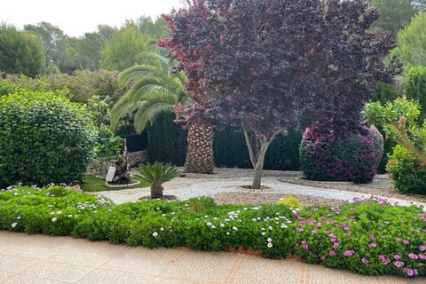 Lejlighed i Peguera, Mallorca, Peguera - € 980.000 | Ref: 70728 - foto 15