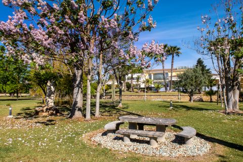 Landejendom i Inca, Mallorca, Inca - € 5.900.000 | Ref: 71228 - foto 10