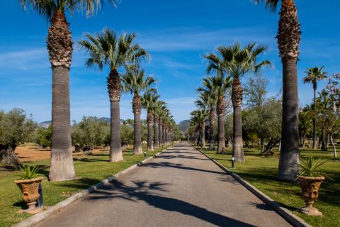 Landejendom i Inca, Mallorca, Inca - € 5.900.000 | Ref: 71228 - foto 12