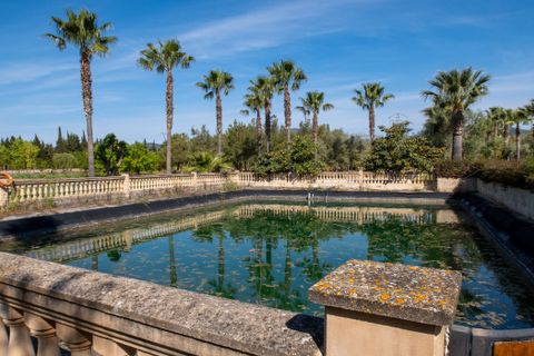 Landejendom i Inca, Mallorca, Inca - € 5.900.000 | Ref: 71228 - foto 13
