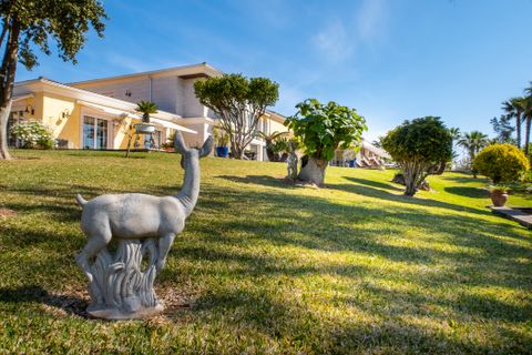 Landejendom i Inca, Mallorca, Inca - € 5.900.000 | Ref: 71228 - foto 14