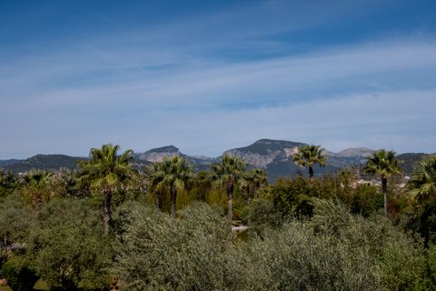 Landejendom i Inca, Mallorca, Inca - € 5.900.000 | Ref: 71228 - foto 15