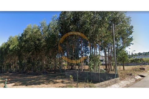 Helårsgrund i Ovar, Aveiro, Ovar - € 180.000 | Ref: T/0774 - foto 2