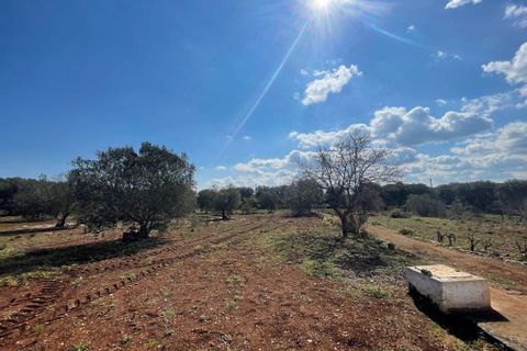 Landejendom i Ostuni, Brindisi, Ostuni - € 179.000 | Ref: 145 - foto 18