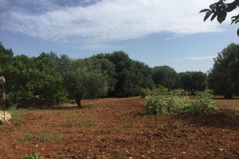 Landejendom i Ostuni, Brindisi, Ostuni - € 179.000 | Ref: 145 - foto 22