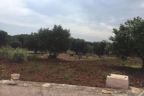 Landejendom i Ostuni, Brindisi, Ostuni - € 179.000 | Ref: 145 - foto 20
