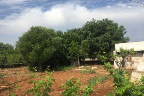 Landejendom i Ostuni, Brindisi, Ostuni - € 179.000 | Ref: 145 - foto 21