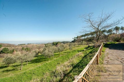 Landejendom i Rivalto, Pisa, Rivalto - € 450.000 | Ref: v5370v-x - foto 3